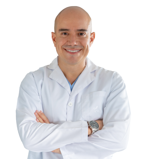 ELEMTS BANNER PPAL-10